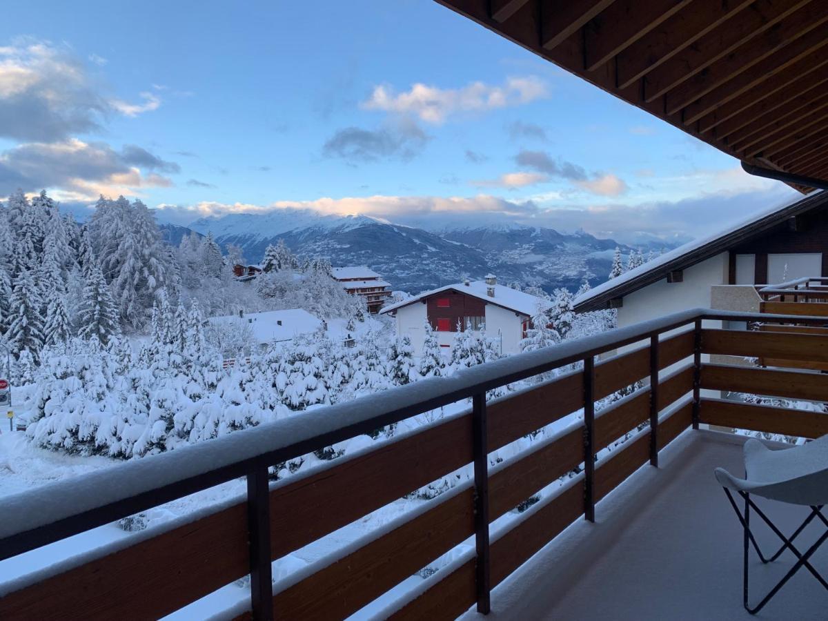 La Jacinthe De Crans Apartment ภายนอก รูปภาพ