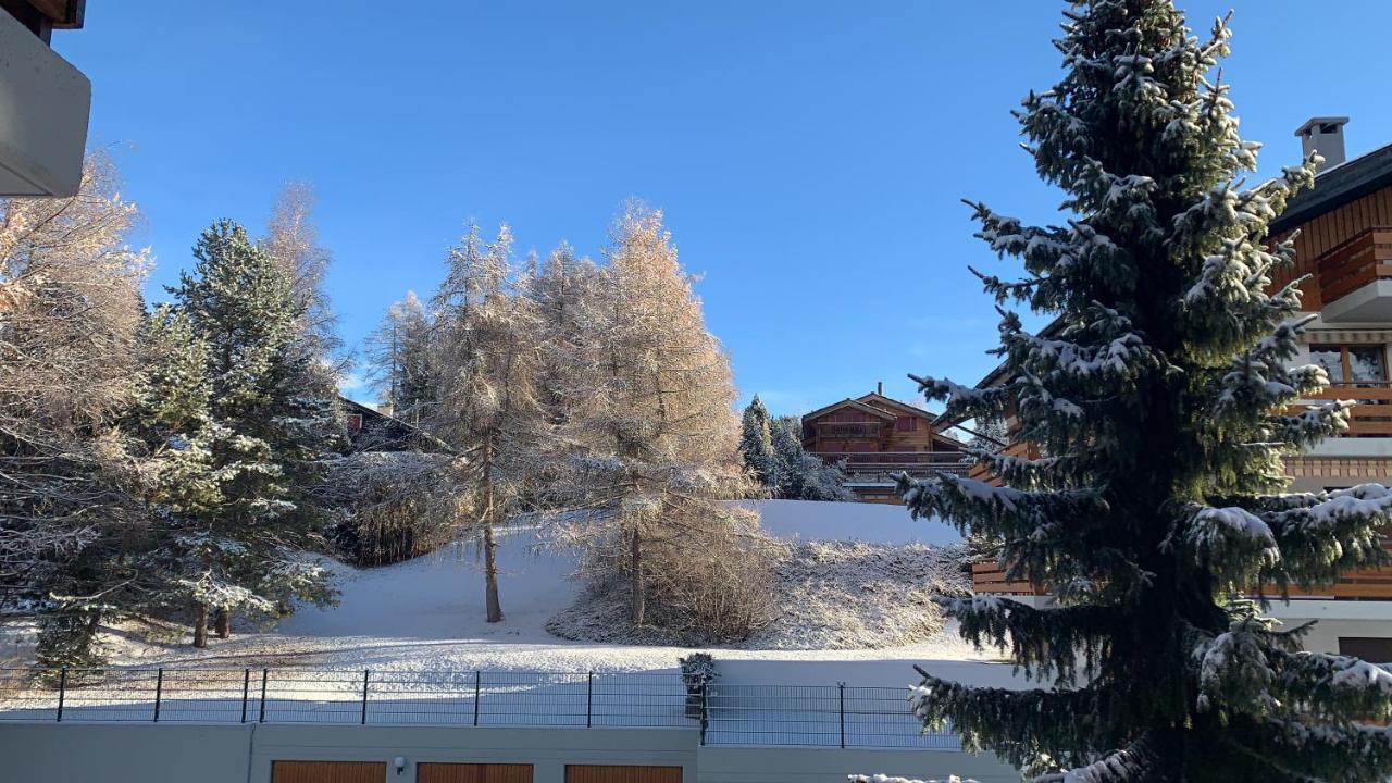 La Jacinthe De Crans Apartment ภายนอก รูปภาพ